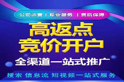 某公司信息流广告的精准投放与效果评估